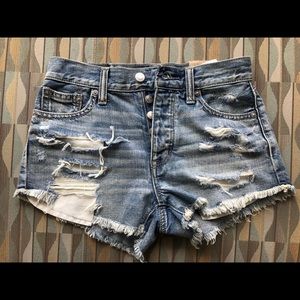 American Eagle Festival Shorts